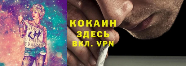 прущие грибы Сясьстрой