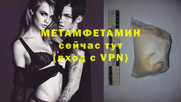 прущие грибы Сясьстрой
