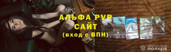 прущие грибы Сясьстрой