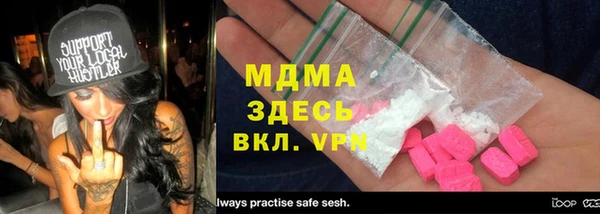 прущие грибы Сясьстрой