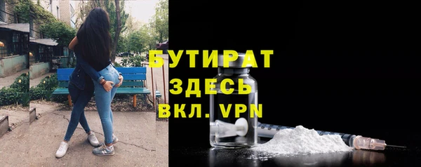 прущие грибы Сясьстрой