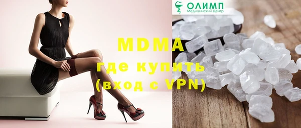 прущие грибы Сясьстрой