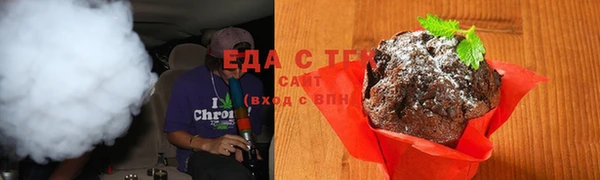 прущие грибы Сясьстрой