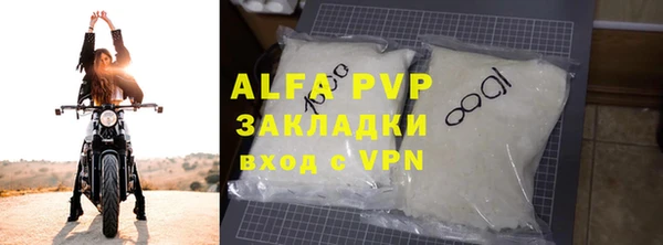 прущие грибы Сясьстрой