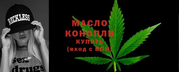 прущие грибы Сясьстрой