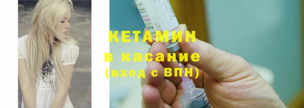 прущие грибы Сясьстрой