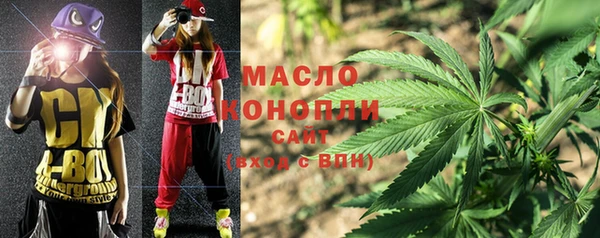 прущие грибы Сясьстрой