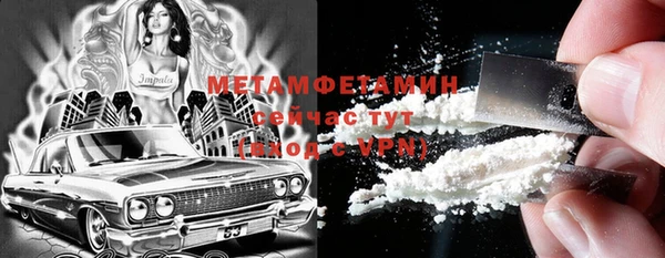 прущие грибы Сясьстрой