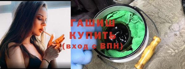 прущие грибы Сясьстрой