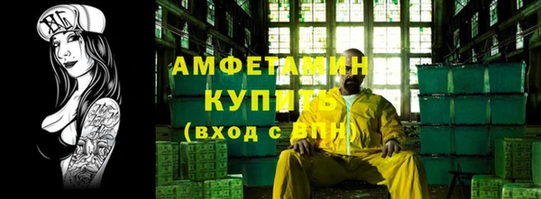 прущие грибы Сясьстрой
