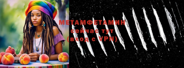 прущие грибы Сясьстрой