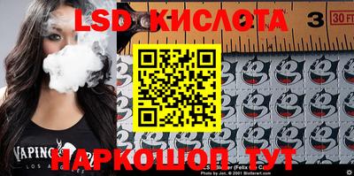 спиды Кингисепп