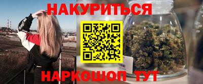 спиды Кингисепп