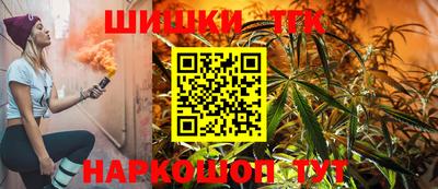 спиды Кингисепп