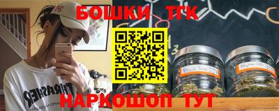 спиды Кингисепп