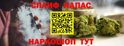 спиды Кингисепп