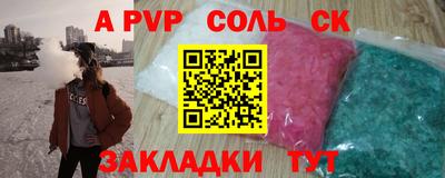 спиды Кингисепп