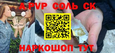 спиды Кингисепп