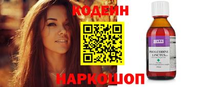 спиды Кингисепп