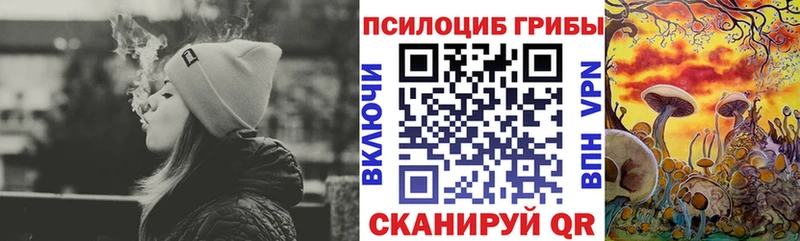 Галлюциногенные грибы ЛСД  как найти   Чернушка 