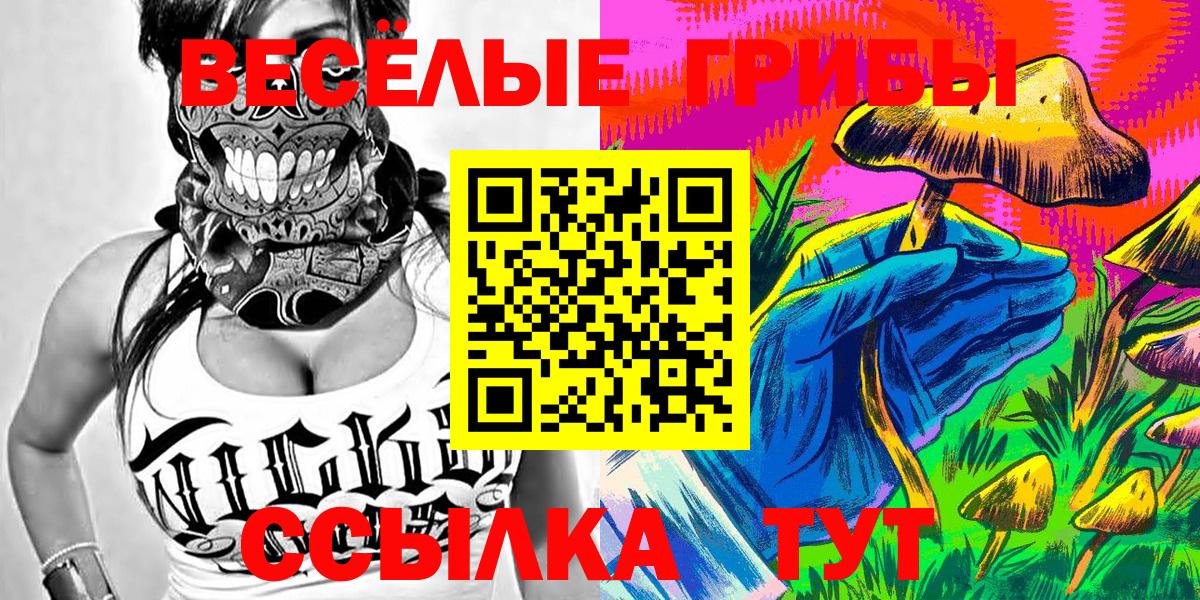 Псилоцибиновые грибы мухоморы Чернушка