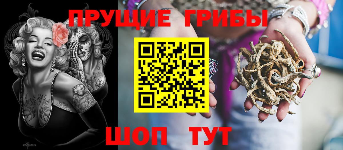 Псилоцибиновые грибы прущие грибы  Вход с VPN  Чернушка 
