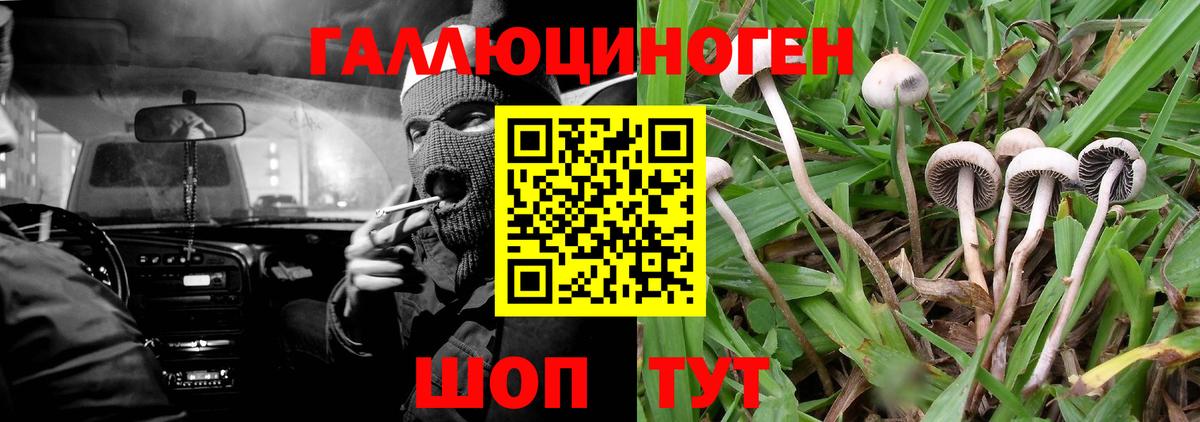 наркошоп  Чернушка  Галлюциногенные грибы прущие грибы  Псилоцибиновые грибы ЛСД 