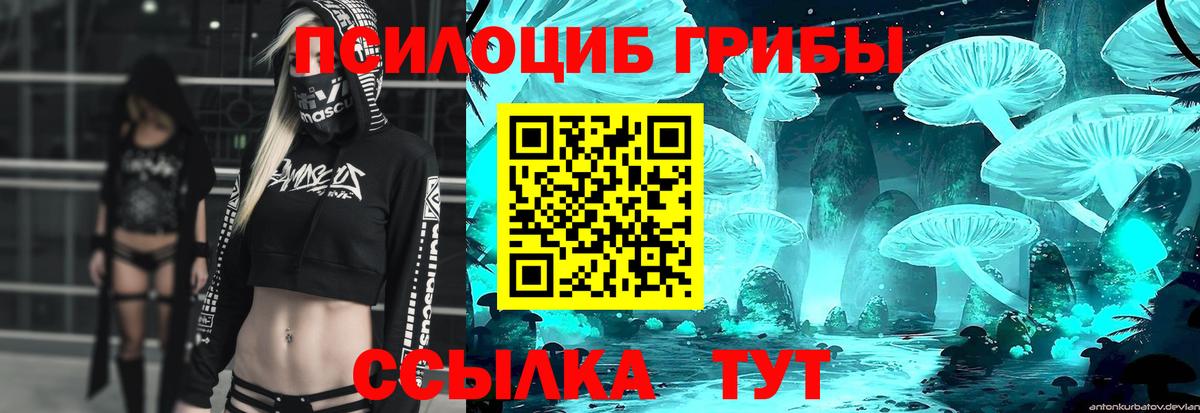 Галлюциногенные грибы ЛСД Чернушка